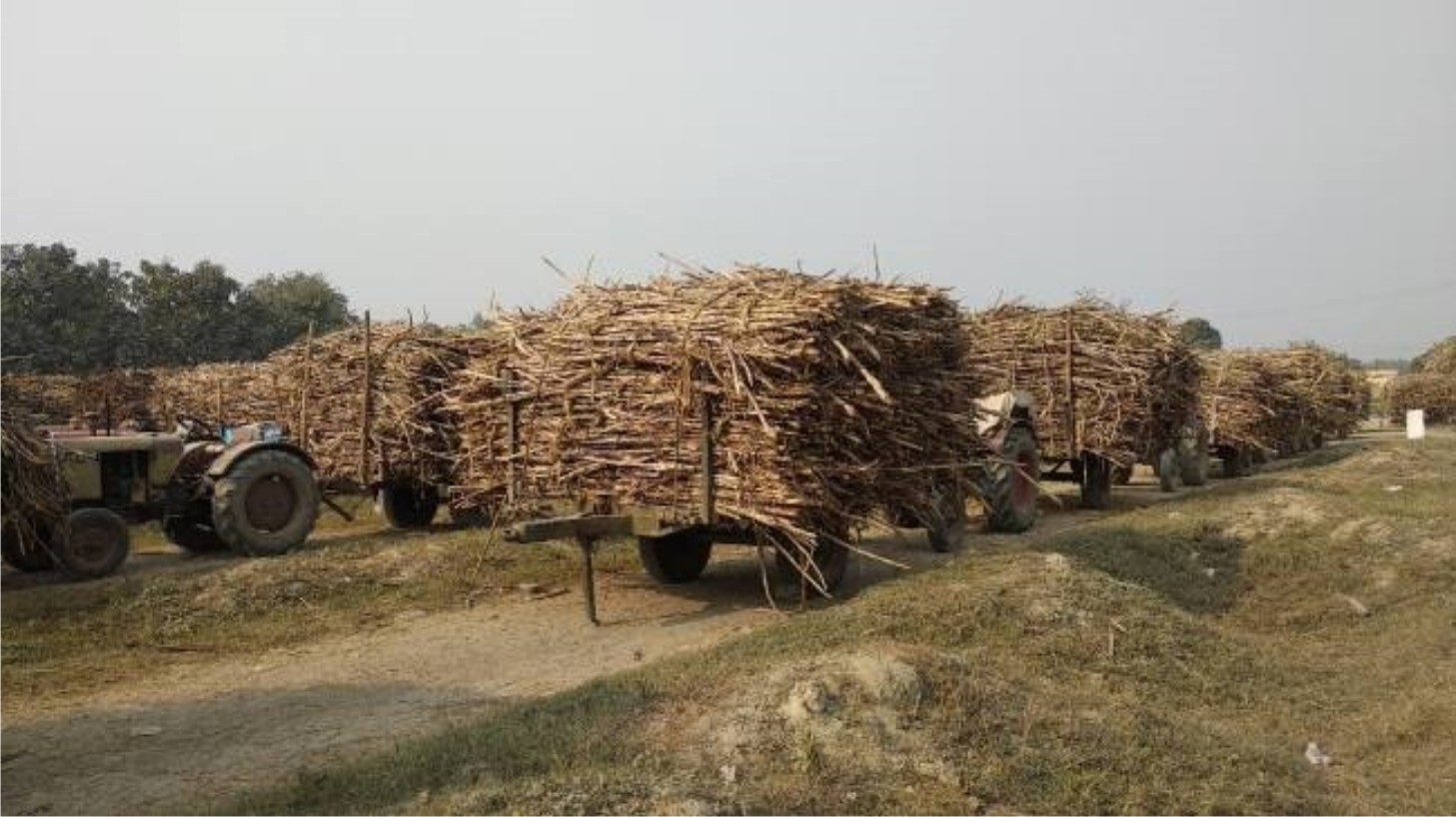 चीनी मिल होने पर किसानों ने लगाया जाम
