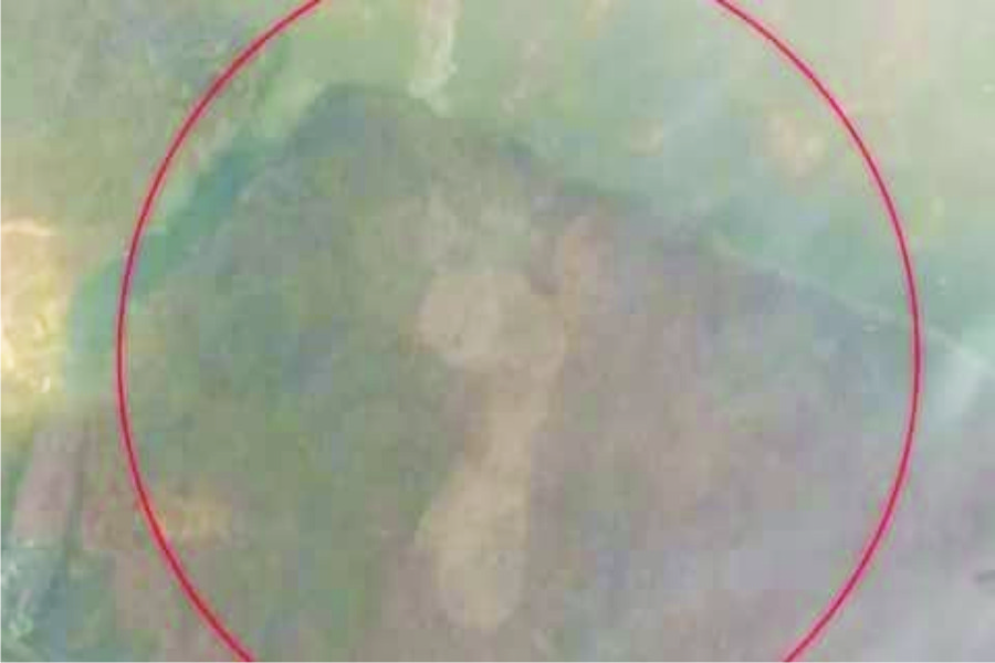 जलमग्न सीढ़ियों पर पदचिन्ह लोगों में चर्चा का विषय बना