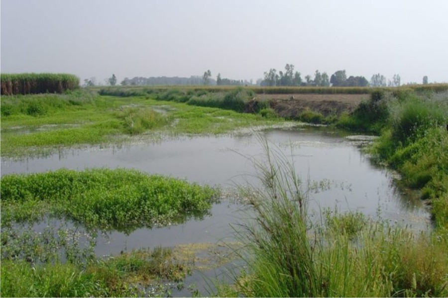 13 नदियों को पुनर्जीवित किया जायेगा ढेला भी शामिल