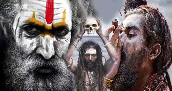 कल होगा शाही स्नान भारी वाहनों की एंट्री बंद