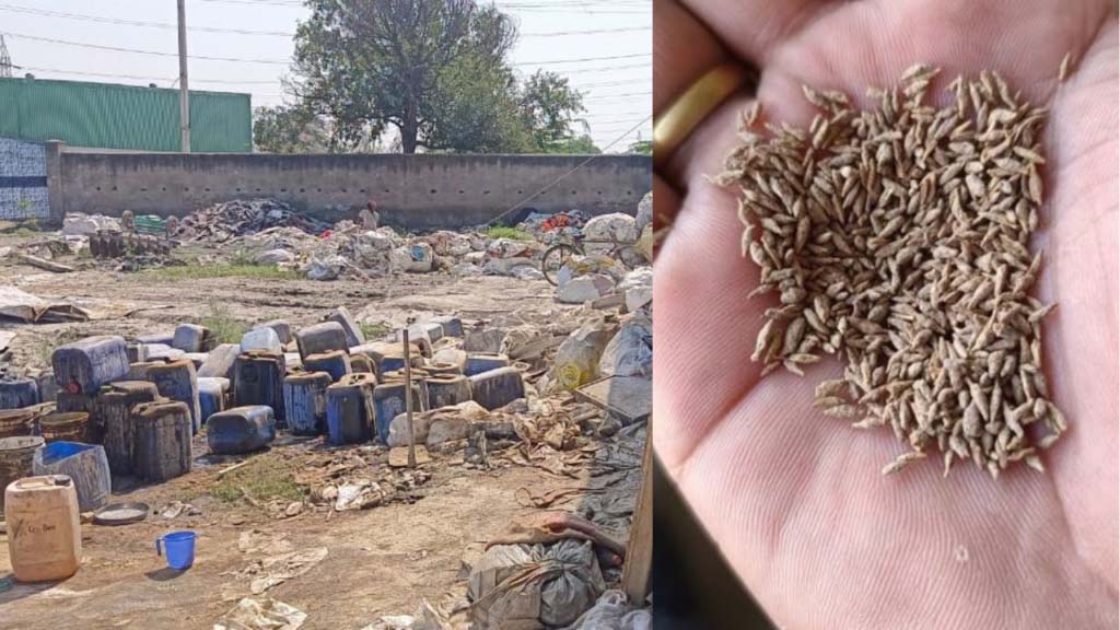 नकली जीरा बनाने वाली फैक्ट्री का खुलासा