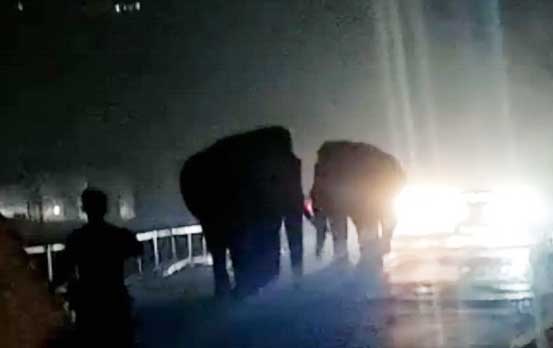 जब चण्डीघाट पुल पर जंगल से निकल आ पहुचे गजराज