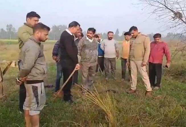 बैल ने वृद्ध किसान की ली जान
