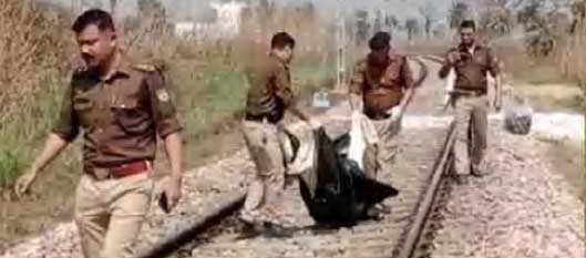 एक युवती की ट्रेन से कटकर मौत