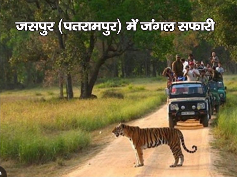 अब जसपुर के पतरामपुर रेंज में ले जंगल सफारी का मचा