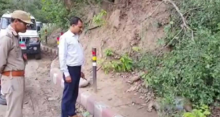 बाल सुंदरी मंदिर के पास जंगल किनारे एक साथ कई बंदरों की मौत