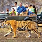 कार्बेट टाइगर रिजर्व - 15 अक्तूबर से खुलेगा बिजरानी गेट