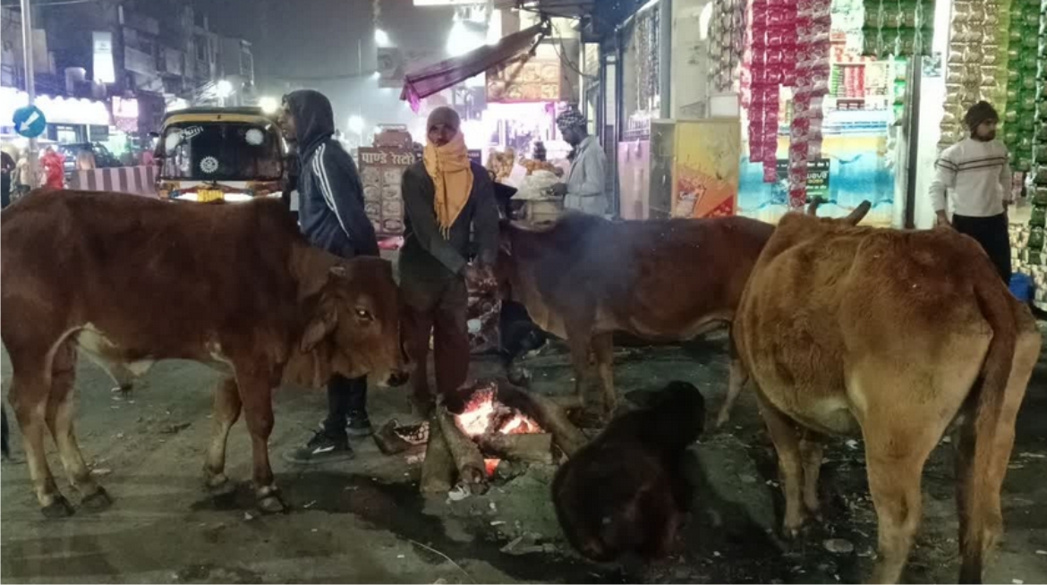 कड़ाके की ठंड और कोहरे के चलते जनजीवन अस्त व्यस्त