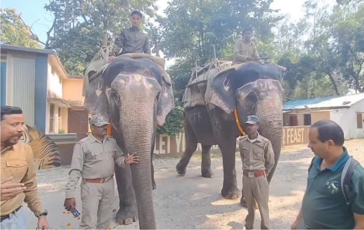 कॉर्बेट पार्क में अब पर्यटक ले सकेंगे हाथी सफारी का मचा