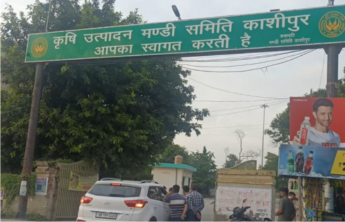 मंडी समिति के एक अधिकारी 1 लाख रिश्वत लेते हुए रंगे हाथ गिरफ्तार