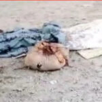 आरओबी के नीचे सो रहे व्यक्ति को डंपर ने कुचला