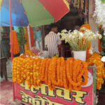 घरों व प्रतिष्ठानों को फूलों की लड़ियों सजाने का क्रेज दिनोंदिन बढ़ रहा