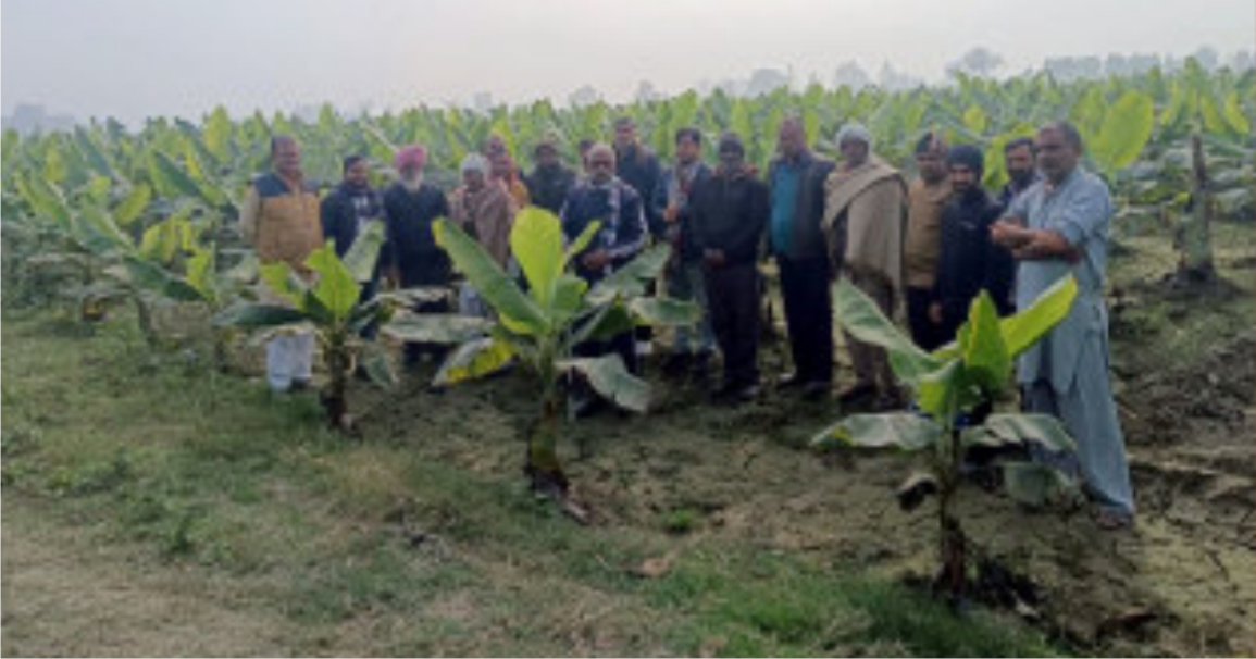 सूर्या फाउंडेशन के तत्वावधान में केला खेती से संबंधित फॉर्म विजिट कार्यक्रम का आयोजन