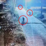 जसपुर में तीन-तीन गुलदारों की एक साथ मौजूदगी से दहशत में ग्रामीण