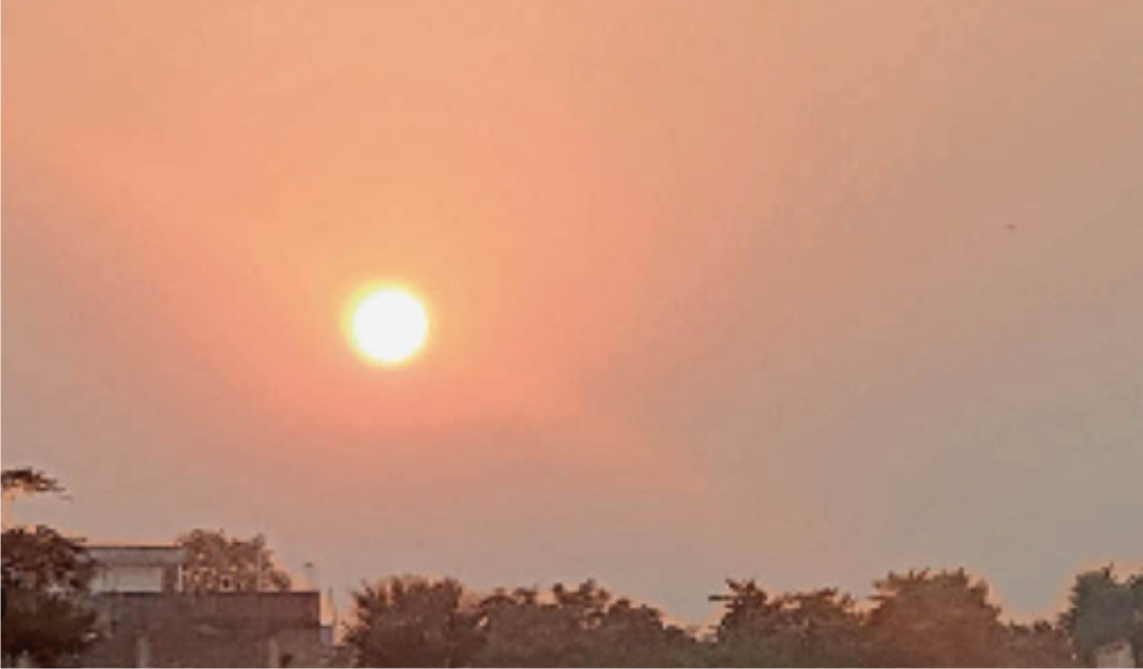 मौसम का मिजाज : सुबह और शाम गुलाबी ठंड के साथ दिन में लोग गुनगुनी धूप का लुत्फ उठा रहे