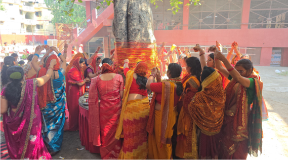महिलाएं अपने पति की लंबी उम्र और सुख-सौभाग्य के लिए वट यानी बरगद के वृक्ष की पूजा