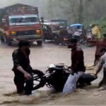 रामनगर में रिंगौड़ा का बरसाती नाला उफान पर