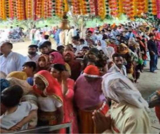 श्रद्धापूर्वक मनाया गया जाहरवीर गोगा नवमी पर्व