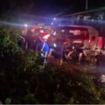 बारिश का कहर - रामनगर-पीरूमदारा नेशनल हाईवे-309 पर तीन भारी-भरकम पेड़ सड़क पर लगे